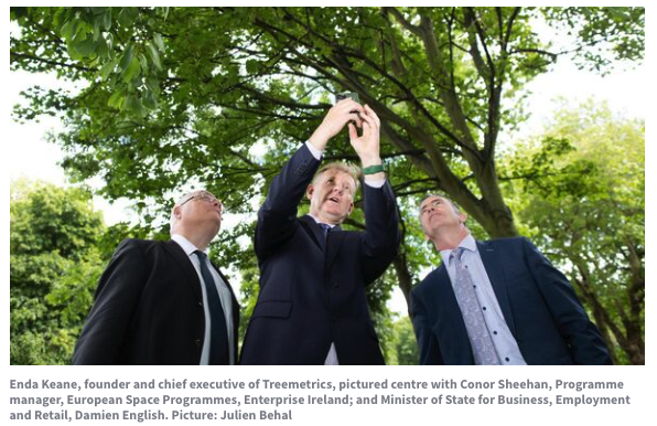 New Irish forestry platform to harness space agency tech